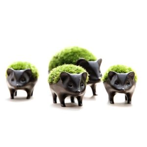 Hedgehog Planter