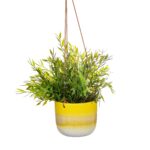 CZQ025_C_Mojave_Yellow_Hanging_Planter